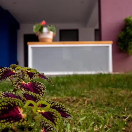 Pagani Blue - Luxury A2