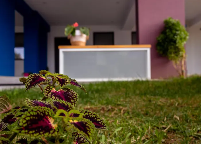 Pagani Blue - Luxury A2