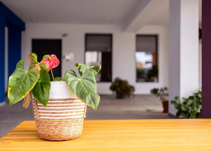 Pagani Blue - Luxury A2 *